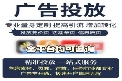 成功SEM推广代运营案例展示